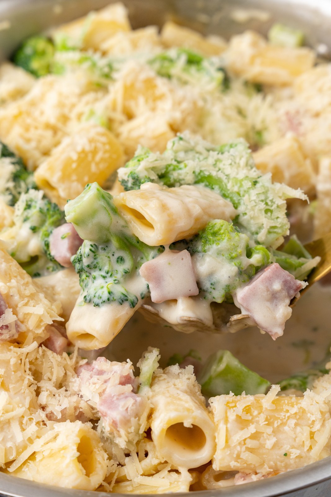 a spoon scoops ham and brococli alfredo
