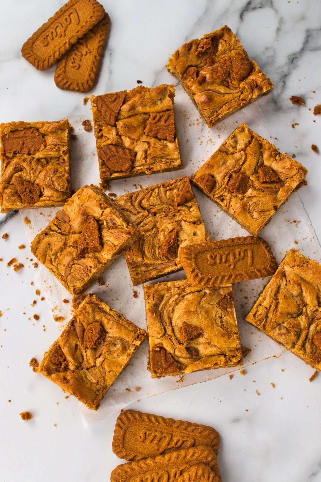 a top down view of biscoff blondies cut into squares