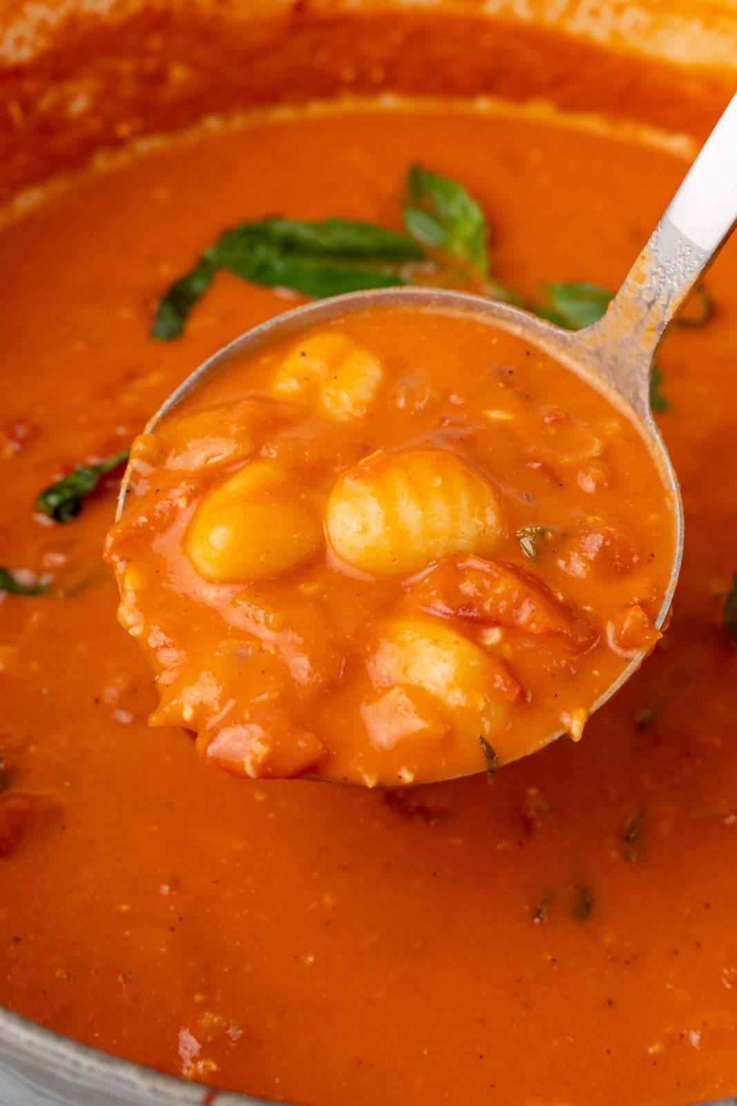 a ladle full of creamy tomato gnocchi soup