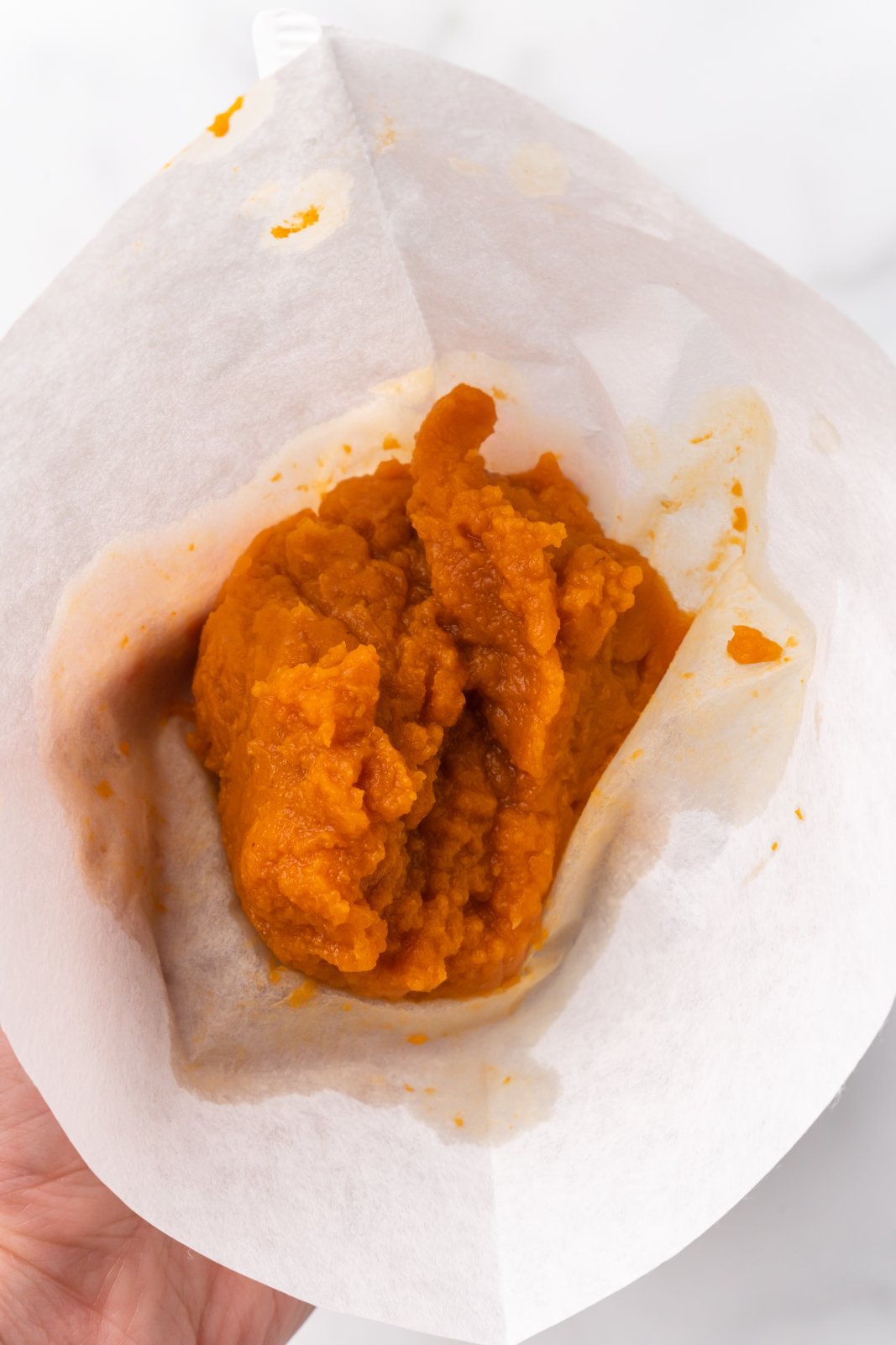 pumpkin in a coffee filter
